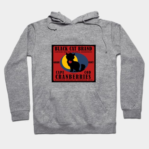 Black Cat Cranberries Hoodie by FunkilyMade